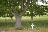 cross;crosses;memorial-cross;Memorial-Oak-Tree;N.Z.;New-Zealand;North-Otago;NZ;OakTrees;Otago;Private-W-Hislop;S.I.;SI;Soldiers-Memorial;Soldiers-Memorial;South-Is.;South-Island;State-Highway-83;Waitaki-District;Waitaki-Region;Waitaki-Valley;World-War-1;World-War-One;WWI-Soldiiers-Cross