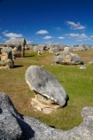 Elephant-Rocks;geological;geology;N.Z.;New-Zealand;North-Otago;NZ;Otago;rock;rock-formation;rock-formations;rock-outcrop;rock-outcrops;rock-tor;rock-torr;rock-torrs;rock-tors;rocks;S.I.;sedementary;sheep;SI;South-Is;South-Island;Sth-Is;stone;unusual;Waitaki;Waitaki-District;Waitaki-Region