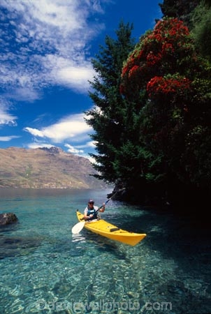 kayak;kayaks;kayaker;kayakers;water;clear;clean;transparent;paddle;paddler;paddlers;paddling;paradise;beautiful;lakes;lake;adventure;adventure-tourism;recreation;outdoors;outdoor;outside;relax;relaxing;yellow;boat;pristine;summer;holiday;holidays;vacation;vacations;wakatipu;queenstown;south-island;new-zealand;southern-rata;red-flowers