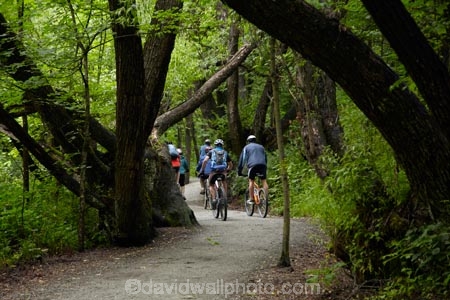 Arrow-River-Bridges-Ride;Arrowtown;Arrowtown-cycle-track;Arrowtown-cycle-trail;bicycle;bicycles;bike;bike-track;bike-tracks;bike-trail;bike-trails;bikes;biking;cycle;cycle-track;cycle-tracks;cycle-trail;cycle-trails;cycler;cyclers;cycles;cycling;cyclist;cyclists;green;leisure;mountain-bike;mountain-biker;mountain-bikers;mountain-bikes;mtn-bike;mtn-biker;mtn-bikers;mtn-bikes;N.Z.;New-Zealand;NZ;Otago;people;person;push-bike;push-bikes;push_bike;push_bikes;pushbike;pushbikes;Queenstown-Bike-Trail;Queenstown-Cycle-Trail;Queenstown-Trail;Queenstown-Trails;recreation;S.I.;SI;South-Is;South-Island;Southern-Lakes;Southern-Lakes-District;Southern-Lakes-Region;Sth-Is;tourism;tourist;tourists;tree;trees;willow-tree;willow-trees