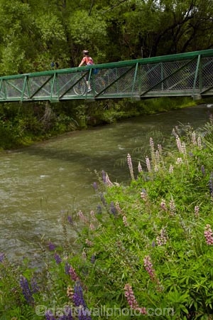 Arrow-River;Arrow-River-Bridges-Ride;Arrowtown;Arrowtown-cycle-track;Arrowtown-cycle-trail;bicycle;bicycles;bike;bike-track;bike-tracks;bike-trail;bike-trails;bikes;biking;bridge;bridges;cycle;cycle-track;cycle-tracks;cycle-trail;cycle-trails;cycler;cyclers;cycles;cycling;cyclist;cyclists;foot-bridge;foot-bridges;footbridge;footbridges;leisure;mountain-bike;mountain-biker;mountain-bikers;mountain-bikes;mtn-bike;mtn-biker;mtn-bikers;mtn-bikes;N.Z.;New-Zealand;NZ;Otago;pedestrian-bridge;pedestrian-bridges;people;person;push-bike;push-bikes;push_bike;push_bikes;pushbike;pushbikes;Queenstown-Bike-Trail;Queenstown-Cycle-Trail;Queenstown-Trail;Queenstown-Trails;recreation;river;rivers;S.I.;SI;South-Is;South-Island;Southern-Lakes;Southern-Lakes-District;Southern-Lakes-Region;Sth-Is;tourism;tourist;tourists