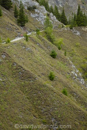 Arrow-River-Bridges-Ride;Arrowtown;Arrowtown-cycle-track;Arrowtown-cycle-trail;bicycle;bicycles;bike;bike-track;bike-tracks;bike-trail;bike-trails;bikes;biking;cycle;cycle-track;cycle-tracks;cycle-trail;cycle-trails;cycler;cyclers;cycles;cycling;cyclist;cyclists;Gibbston;Gibbston-Valley;leisure;mountain-bike;mountain-biker;mountain-bikers;mountain-bikes;mtn-bike;mtn-biker;mtn-bikers;mtn-bikes;N.Z.;New-Zealand;NZ;Otago;people;person;push-bike;push-bikes;push_bike;push_bikes;pushbike;pushbikes;Queenstown-Bike-Trail;Queenstown-Cycle-Trail;Queenstown-Trail;Queenstown-Trails;recreation;S.I.;SI;South-Is;South-Island;Southern-Lakes;Southern-Lakes-District;Southern-Lakes-Region;Sth-Is;tourism;tourist;tourists