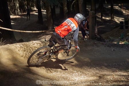 bicycle;bicycles;bike;bikes;cycle;cycler;cyclers;cycles;cyclist;cyclists;downhill;forest;forests;mountain-bike;mountain-biker;mountain-bikers;mountain-bikes;mtn-bike;mtn-biker;mtn-bikers;mtn-bikes;N.Z.;New-Zealand;NZ;Otago;push-bike;push-bikes;push_bike;push_bikes;pushbike;pushbikes;Queenstown;Queenstown-Mountain-Bike-Park;S.I.;SI;South-Is;South-Is.;South-Island;Southern-Lakes;Southern-Lakes-District;Southern-Lakes-Region;Sth-Is;track;tracks;tree;trees