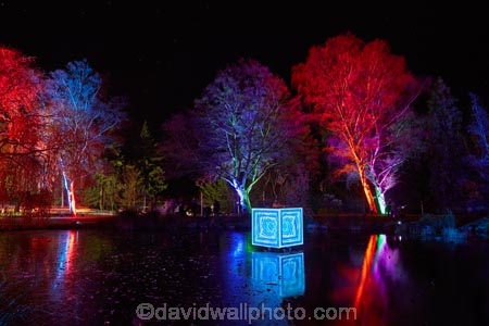 art;art-work;art-works;colored;coloured;cube;cubes;Cubezoid;dark;dusk;evening;event;installation;light;light-festival;light-festival-event;light-installation;lighting;lights;LUMA;LUMA-Southern-Light-Project;N.Z.;New-Zealand;night;night-time;night_time;Nocturnal;NZ;Otago;public-art;public-art-work;public-art-works;public-sculpture;public-sculptures;Queenstown;S.I.;sculpture;sculptures;SI;South-Is;South-Island;Southern-Light-Project;statue;statues;Sth-Is;tree;trees;winter