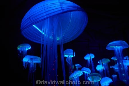 art;art-work;art-works;dark;dusk;evening;event;installation;jelly_fish;jellyfish;jellyfishes;light;light-festival;light-festival-event;light-installation;lighting;lights;LUMA;LUMA-Southern-Light-Project;N.Z.;New-Zealand;night;night-time;night_time;NZ;Otago;public-art;public-art-work;public-art-works;public-sculpture;public-sculptures;Queenstown;S.I.;sculpture;sculptures;sea;Shotover-Primary-School;Shotover-Primary-Schools;SI;SILO;South-Is;South-Island;South-Island-Light-Orchestra;Southern-Light-Project;Statue;statues;Sth-Is;Underworld;winter