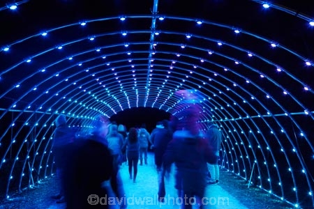 Angus-Muir-Design;art;art-work;art-works;Burrow;dark;dusk;evening;event;installation;light;light-festival;light-festival-event;light-installation;lighting;lights;LUMA;LUMA-Southern-Light-Project;N.Z.;New-Zealand;night;night-time;night_time;NZ;Otago;public-art;public-art-work;public-art-works;public-sculpture;public-sculptures;Queenstown;S.I.;sculpture;sculptures;SI;South-Is;South-Island;Southern-Light-Project;statue;statues;Sth-Is;winter