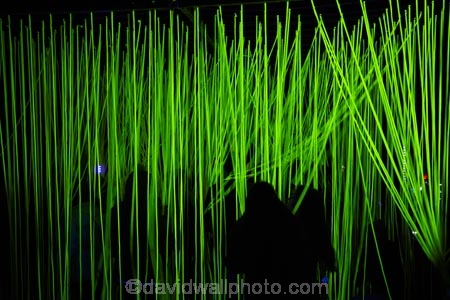 Angus-Muir-Designs;art;art-work;art-works;dark;dusk;evening;event;installation;light;light-festival;light-festival-event;light-installation;lighting;lights;LUMA;LUMA-Southern-Light-Project;N.Z.;New-Zealand;night;night-time;night_time;NZ;Otago;public-art;public-art-work;public-art-works;public-sculpture;public-sculptures;Puck-Murphy;Queenstown;S.I.;sculpture;sculptures;SI;South-Is;South-Island;Southern-Light-Project;statue;statues;Sth-Is;UV-Spaghetti;winter