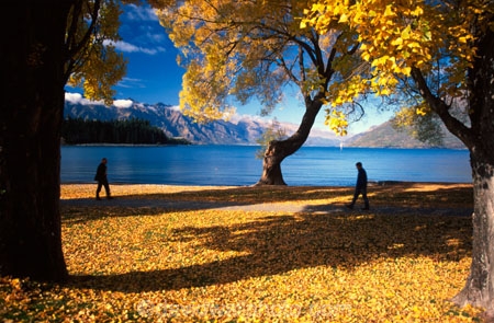 mountain;mountains;autumn;fall;lake;lakes;tourists;tourist;tourism;resort-town;lake-wakatipu;wakatipu;queenstown;south-island;new-zealand;remarkables;the-remarkables;poplar;poplars;tree;trees;excursion;holiday;holidays;vacation;vacations;earnslaw;yellow;leaves;colours;colour;color;colors;walk;walking;walker;walkers;stroll;stroller;strollers;golden;park;parks;reserve;reserves;willow;willows