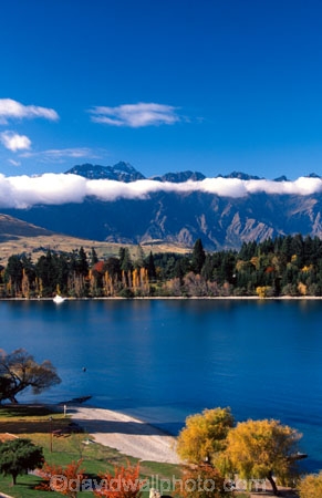 mountain;mountains;autumn;fall;lake;lakes;tourism;resort-town;lake-wakatipu;wakatipu;queenstown;south-island;new-zealand;remarkables;the-remarkables;poplar;poplars;tree;trees;holiday;holidays;vacation;vacations;yellow;leaves;colours;colour;color;colors;golden;park;parks;reserve;reserves;willow;willows;cloud