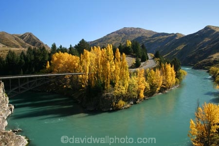 Autumn;bridge;bridges;central-otago;color;colour;fall;gold;golden;Kawarau-Gorge;Kawarau-River;New-Zealand;poplar;poplars;Queenstown-Road;river;rivers;season;seasonal;seasons;South-Island;tree;trees;valley;valleys;victoria-bridge;willow;willows;yellow