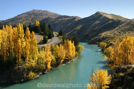 Autumn;central-otago;color;colour;fall;gold;golden;Kawarau-Gorge;Kawarau-River;New-Zealand;poplar;poplars;Queenstown-Road;river;rivers;season;seasonal;seasons;South-Island;tree;trees;valley;valleys;willow;willows;yellow