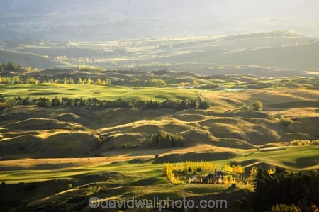 agricultural;agriculture;arrowtown;autuminal;autumn;autumnal;central-otago;color;colors;colour;colours;country;countryside;deciduous;fall;farm;farming;farmland;farms;field;fields;horticulture;leaf;leaves;meadow;meadows;new-zealand;paddock;paddocks;pasture;pastures;queenstown;rural;south-island;tree;trees;wakatipu-basin