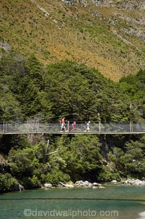 beautiful;beauty;Beech-Forest;boy;boys;bridge;bridges;brother;brothers;bush;child;children;clean-water;clear-water;endemic;families;family;foot-bridge;foot-bridges;footbridge;footbridges;forest;forests;girl;girls;green;Greenstone-River;Greenstone-Track;Greenstone-Valley;hike;hiker;hikers;hiking;hiking-track;hiking-tracks;kid;kids;little-boy;little-girl;mother;mothers;N.Z.;native;native-bush;natives;natural;nature;New-Zealand;Nothofagus;NZ;Otago;pathways;pedestrian-bridge;pedestrian-bridges;pure-water;rain-forest;rain-forests;rain_forest;rain_forests;rainforest;rainforests;river;rivers;S.I.;scene;scenic;SI;sibbling;sibblings;sister;sisters;small-boys;small-girls;South-Is.;South-Island;southern-beeches;subtropical-rainforest;subtropical-rainforests;suspension-bridge;suspension-bridges;swing-bridge;swing-bridges;Te-Ara-Roa;Te-Araroa;Te-Araroa-Pathway;Te-Araroa-Walkway;The-Long-Pathway;The-Long-Walkway;timber;track;tracks;tramp;tramper;trampers;tramping;tramping-track;tramping-tracks;tramping-trail;tramping-trails;tree;trees;trek;treker;trekers;treking;treking-track;treking-tracks;trekker;trekkers;trekking;trekking-track;trekking-tracks;trekking-trail;trekking-trails;walk;walker;walkers;walking;walking-track;walking-tracks;walking-trail;walking-trails;walkway;walkways;wire-bridge;wire-bridges;woman;women;wood;woods