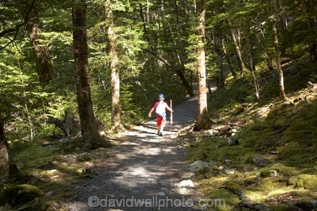 beautiful;beauty;Beech-Forest;boy;boys;bush;child;children;endemic;forest;forests;green;Greenstone-Track;Greenstone-Valley;hike;hiker;hikers;hiking;hiking-track;hiking-tracks;kid;kids;little-boy;N.Z.;native;native-bush;natives;natural;nature;New-Zealand;Nothofagus;NZ;Otago;pathways;rain-forest;rain-forests;rain_forest;rain_forests;rainforest;rainforests;S.I.;scene;scenic;SI;small-boys;South-Is.;South-Island;southern-beeches;subtropical-rainforest;subtropical-rainforests;Te-Ara-Roa;Te-Araroa;Te-Araroa-Pathway;Te-Araroa-Walkway;The-Long-Pathway;The-Long-Walkway;timber;tramp;tramper;trampers;tramping;tramping-track;tramping-tracks;tramping-trail;tramping-trails;tree;trees;trek;treker;trekers;treking;treking-track;treking-tracks;trekker;trekkers;trekking;trekking-track;trekking-tracks;trekking-trail;trekking-trails;walk;walker;walkers;walking;walking-track;walking-tracks;walking-trail;walking-trails;walkway;walkways;wood;woods