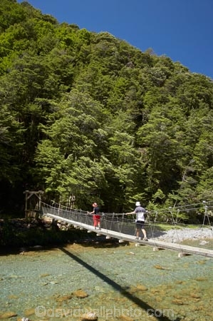 beautiful;beauty;Beech-Forest;bridge;bridges;bush;Caples-River;Caples-Valley;clean-water;clear-water;endemic;foot-bridge;foot-bridges;footbridge;footbridges;forest;forests;green;Greenstone-Track;Greenstone-Valley;hike;hiker;hikers;hiking;hiking-track;hiking-tracks;N.Z.;native;native-bush;natives;natural;nature;New-Zealand;Nothofagus;NZ;Otago;pathways;pedestrian-bridge;pedestrian-bridges;pure-water;rain-forest;rain-forests;rain_forest;rain_forests;rainforest;rainforests;river;rivers;S.I.;scene;scenic;SI;South-Is.;South-Island;southern-beeches;subtropical-rainforest;subtropical-rainforests;suspension-bridge;suspension-bridges;swing-bridge;swing-bridges;Te-Ara-Roa;Te-Araroa;Te-Araroa-Pathway;Te-Araroa-Walkway;The-Long-Pathway;The-Long-Walkway;timber;track;tracks;tramp;tramper;trampers;tramping;tramping-track;tramping-tracks;tramping-trail;tramping-trails;tree;trees;trek;treker;trekers;treking;treking-track;treking-tracks;trekker;trekkers;trekking;trekking-track;trekking-tracks;trekking-trail;trekking-trails;walk;walker;walkers;walking;walking-track;walking-tracks;walking-trail;walking-trails;walkway;walkways;wire-bridge;wire-bridges;wood;woods