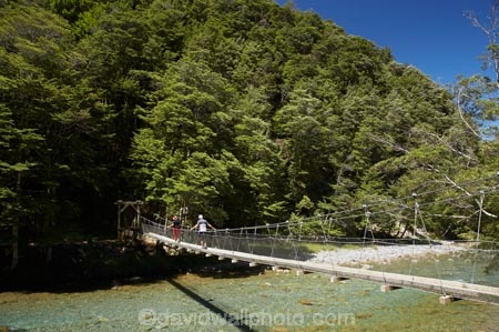 beautiful;beauty;Beech-Forest;bridge;bridges;bush;Caples-River;Caples-Valley;clean-water;clear-water;endemic;foot-bridge;foot-bridges;footbridge;footbridges;forest;forests;green;Greenstone-Track;Greenstone-Valley;hike;hiker;hikers;hiking;hiking-track;hiking-tracks;N.Z.;native;native-bush;natives;natural;nature;New-Zealand;Nothofagus;NZ;Otago;pathways;pedestrian-bridge;pedestrian-bridges;pure-water;rain-forest;rain-forests;rain_forest;rain_forests;rainforest;rainforests;river;rivers;S.I.;scene;scenic;SI;South-Is.;South-Island;southern-beeches;subtropical-rainforest;subtropical-rainforests;suspension-bridge;suspension-bridges;swing-bridge;swing-bridges;Te-Ara-Roa;Te-Araroa;Te-Araroa-Pathway;Te-Araroa-Walkway;The-Long-Pathway;The-Long-Walkway;timber;track;tracks;tramp;tramper;trampers;tramping;tramping-track;tramping-tracks;tramping-trail;tramping-trails;tree;trees;trek;treker;trekers;treking;treking-track;treking-tracks;trekker;trekkers;trekking;trekking-track;trekking-tracks;trekking-trail;trekking-trails;walk;walker;walkers;walking;walking-track;walking-tracks;walking-trail;walking-trails;walkway;walkways;wire-bridge;wire-bridges;wood;woods