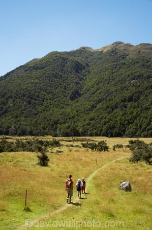 boy;boys;brother;brothers;Caples-Valley;child;children;clearing;families;family;girl;girls;Greenstone-Track;Greenstone-Valley;hike;hiker;hikers;hiking;hiking-track;hiking-tracks;kid;kids;little-boy;little-girl;mother;mothers;N.Z.;New-Zealand;NZ;Otago;pathways;S.I.;SI;sibbling;sibblings;sister;sisters;small-boys;small-girls;South-Is.;South-Island;Te-Ara-Roa;Te-Araroa;Te-Araroa-Pathway;Te-Araroa-Walkway;The-Long-Pathway;The-Long-Walkway;track;tracks;tramp;tramper;trampers;tramping;tramping-track;tramping-tracks;tramping-trail;tramping-trails;trek;treker;trekers;treking;treking-track;treking-tracks;trekker;trekkers;trekking;trekking-track;trekking-tracks;trekking-trail;trekking-trails;walk;walker;walkers;walking;walking-track;walking-tracks;walking-trail;walking-trails;walkway;walkways;woman;women