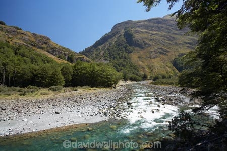 beautiful;beauty;Beech-Forest;bush;Caples-River;clean-water;clear-water;Confluence;endemic;forest;forests;green;Greenstone-River;Greenstone-Track;Greenstone-Valley;N.Z.;native;native-bush;natives;natural;nature;New-Zealand;Nothofagus;NZ;Otago;pathways;pure-water;rain-forest;rain-forests;rain_forest;rain_forests;rainforest;rainforests;river;rivers;S.I.;scene;scenic;SI;South-Is.;South-Island;southern-beeches;subtropical-rainforest;subtropical-rainforests;Te-Ara-Roa;Te-Araroa;Te-Araroa-Pathway;Te-Araroa-Walkway;The-Long-Pathway;The-Long-Walkway;timber;tramping-track;tramping-tracks;tramping-trail;tramping-trails;tree;trees;trekking-track;trekking-tracks;trekking-trail;trekking-trails;walking-track;walking-tracks;walking-trail;walking-trails;walkway;walkways;wood;woods