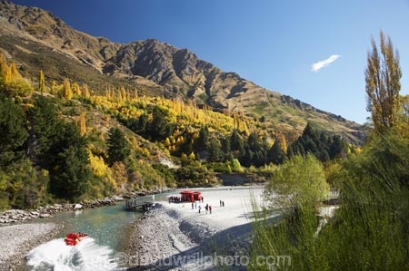 adrenaline;adventure;adventure-tourism;Arthurs-Point;Arthurs-Point;autuminal;autumn;autumn-colour;autumn-colours;autumnal;boat;boats;Central-Otago;color;colors;colour;colours;danger;deciduous;exciting;fall;fast;fun;gorge;gorges;jet-boat;jet-boats;jet_boat;jet_boats;jetboat;jetboats;N.Z.;narrow;New-Zealand;NZ;Otago;passenger;passengers;Queenstown;quick;red;ride;rides;river;river-bank;riverbank;rivers;S.I.;season;seasonal;seasons;shotover;Shotover-Canyon;shotover-gorge;shotover-jet;Shotover-Jetboat;Shotover-River;SI;South-Is.;South-Island;Southern-Lakes;Southern-Lakes-District;Southern-Lakes-Region;speed;speed-boat;speed-boats;speed_boat;speed_boats;speedboat;speedboats;speeding;speedy;splash;spray;thrill;tour;tourism;tourist;tourists;tours;tree;trees;wake;water