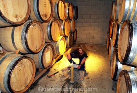 alcohol;cellar;cellars;central-otago-vineyards;ferment;ferments;grape;grapes;oak;sample;test;testing;vine;vineyard;vineyards;vintage;wine;wineries;winery