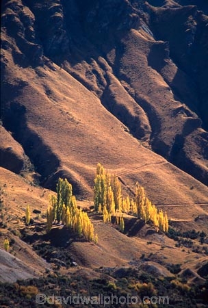 autumn;fall;hill;mountain;mountains;outdoor;outdoors;outside;steep;terrain;wilderness