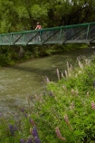 Arrow-River;Arrow-River-Bridges-Ride;Arrowtown;Arrowtown-cycle-track;Arrowtown-cycle-trail;bicycle;bicycles;bike;bike-track;bike-tracks;bike-trail;bike-trails;bikes;biking;bridge;bridges;cycle;cycle-track;cycle-tracks;cycle-trail;cycle-trails;cycler;cyclers;cycles;cycling;cyclist;cyclists;foot-bridge;foot-bridges;footbridge;footbridges;leisure;mountain-bike;mountain-biker;mountain-bikers;mountain-bikes;mtn-bike;mtn-biker;mtn-bikers;mtn-bikes;N.Z.;New-Zealand;NZ;Otago;pedestrian-bridge;pedestrian-bridges;people;person;push-bike;push-bikes;push_bike;push_bikes;pushbike;pushbikes;Queenstown-Bike-Trail;Queenstown-Cycle-Trail;Queenstown-Trail;Queenstown-Trails;recreation;river;rivers;S.I.;SI;South-Is;South-Island;Southern-Lakes;Southern-Lakes-District;Southern-Lakes-Region;Sth-Is;tourism;tourist;tourists