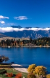 mountain;mountains;autumn;fall;lake;lakes;tourism;resort-town;lake-wakatipu;wakatipu;queenstown;south-island;new-zealand;remarkables;the-remarkables;poplar;poplars;tree;trees;holiday;holidays;vacation;vacations;yellow;leaves;colours;colour;color;colors;golden;park;parks;reserve;reserves;willow;willows;cloud