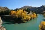 Autumn;bridge;bridges;central-otago;color;colour;fall;gold;golden;Kawarau-Gorge;Kawarau-River;New-Zealand;poplar;poplars;Queenstown-Road;river;rivers;season;seasonal;seasons;South-Island;tree;trees;valley;valleys;victoria-bridge;willow;willows;yellow