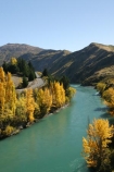 Autumn;central-otago;color;colour;fall;gold;golden;Kawarau-Gorge;Kawarau-River;New-Zealand;poplar;poplars;Queenstown-Road;river;rivers;season;seasonal;seasons;South-Island;tree;trees;valley;valleys;willow;willows;yellow