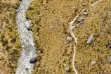 aerial;aerial-photo;aerial-photography;aerial-photos;aerial-view;aerial-views;aerials;alpine;altitude;brook;brooks;creek;creeks;Fiordland;Fiordland-N.P;Fiordland-National-Park;Fiordland-NP;flow;Great-Walk;Great-Walks;high-altitude;hike;hiker;hikers;hiking;mount;mountain;mountainous;mountains;mountainside;mt;mt.;N.Z.;national-park;national-parks;New-Zealand;NZ;Otago;Queenstown;range;ranges;Route-Burn-Left-Branch;Routeburn-Track;S.I.;SI;South-Is.;South-Island;south-west-new-zealand-world-heritage-area;Southern-Lakes;Southern-Lakes-District;Southern-Lakes-Region;Southland;stream;streams;te-wahipounamu;te-wahipounamu-south_west-new-zealand-world-heritage-area;tramp;tramper;trampers;tramping;trek;treker;trekers;treking;trekker;trekkers;trekking;walk;walker;walkers;walking;water;wet;world-heirtage-site;world-heritage-area