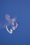 adrenaline;adventure;adventure-tourism;aerobatics;Air-Games;altitude;excite;excitement;extreme;extreme-sport;fly;flyer;flying;free;freedom;N.Z.;New-Zealand;New-Zealand-Air-Games;NZ;NZ-Air-Games;Otago;paraglide;paraglider;paragliders;paragliding;parapont;paraponter;paraponters;paraponting;paraponts;parasail;parasailer;parasailers;parasailing;parasails;recreation;S.I.;SI;skies;sky;soar;soaring;South-Island;sport;sports;stunt;stunts;view