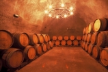 barrel;barrels;caves;cellar;cellars;central-otago-vineyards;cool;store;vineyard;vineyards;vintage;wineries;winery;wines