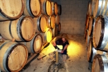 alcohol;cellar;cellars;central-otago-vineyards;ferment;ferments;grape;grapes;oak;sample;test;testing;vine;vineyard;vineyards;vintage;wine;wineries;winery
