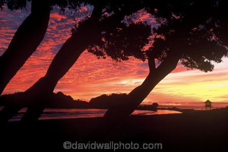 bay;of;plenty;surf;lifesaver;lookout;post;dawn;beach;ocean;early;orange;pink;colour;color