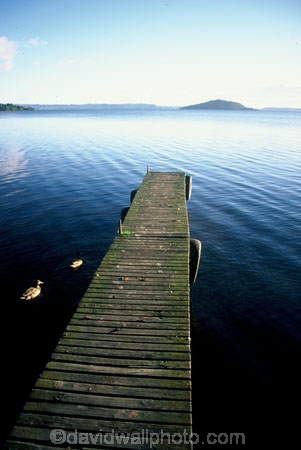 lakes;jetty;jetties;wharf;wharves;island;duck;duscks;pier;piers;water