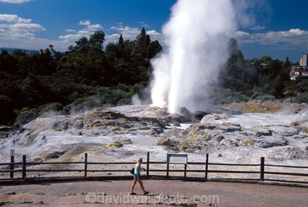 thermal;geothermal;hot;water;fountain;geysers;steam;pressure;hot-spring;spout;erupt;eruption;tourism;tourist