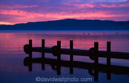 lakes;jetty;jetties;wharf;wharves;island;duck;duscks;pier;piers;water;sunrise