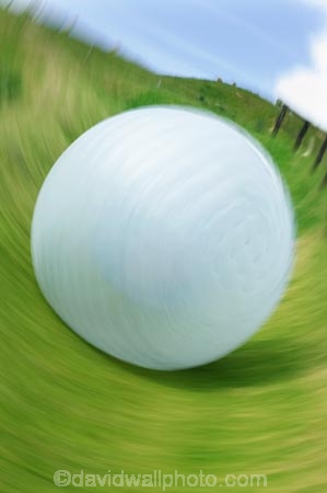 action;adrenaline;adrenaline-junkie;adventure;adventure-tourism;ball;bay-of-plenty;blur;blurred;blurry;blury;excite;excitement;exciting;fast;frighten;frightening;fun;holiday;holidaying;holidays;movement;new-zealand;north-is.;north-island;roll;rolling;rolls;rotorua;scary;speed;spin;spinning;spins;tourism;tourist;tourists;travel;traveler;traveling;traveller;travelling;vacation;vacationers;vacationing;vacations;zoom;zooming;zorb;zorbing