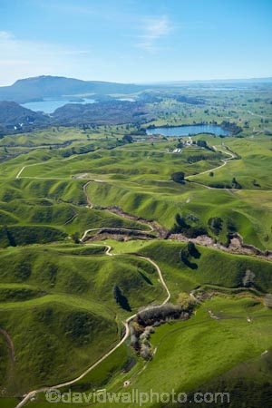 aerial;aerial-image;aerial-images;aerial-photo;aerial-photograph;aerial-photographs;aerial-photography;aerial-photos;aerial-view;aerial-views;aerials;agricultural;agriculture;Bay-of-Plenty-Region;country;countryside;farm;farm-track;farm-tracks;farming;farmland;farms;field;fields;grass;green;meadow;meadows;N.I.;N.Z.;New-Zealand;NI;North-Is;North-Island;Nth-Is;NZ;paddock;paddocks;pasture;pastures;Rotorua;rural;track;tracks