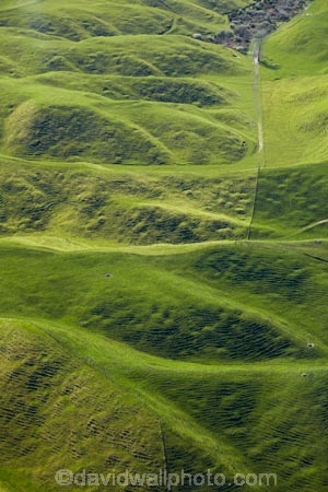 aerial;aerial-image;aerial-images;aerial-photo;aerial-photograph;aerial-photographs;aerial-photography;aerial-photos;aerial-view;aerial-views;aerials;agricultural;agriculture;Bay-of-Plenty-Region;country;countryside;farm;farming;farmland;farms;field;fields;grass;green;meadow;meadows;N.I.;N.Z.;New-Zealand;NI;North-Is;North-Island;Nth-Is;NZ;paddock;paddocks;pasture;pastures;Rotorua;rural