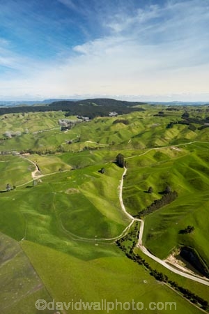 aerial;aerial-image;aerial-images;aerial-photo;aerial-photograph;aerial-photographs;aerial-photography;aerial-photos;aerial-view;aerial-views;aerials;agricultural;agriculture;Bay-of-Plenty-Region;country;countryside;farm;farming;farmland;farms;field;fields;green;meadow;meadows;N.I.;N.Z.;New-Zealand;NI;North-Is;North-Island;Nth-Is;NZ;paddock;paddocks;pasture;pastures;Rotorua;rural