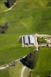 aerial;aerial-image;aerial-images;aerial-photo;aerial-photograph;aerial-photographs;aerial-photography;aerial-photos;aerial-view;aerial-views;aerials;agricultural;agriculture;Bay-of-Plenty-Region;country;countryside;farm;farming;farmland;farms;field;fields;green;meadow;meadows;N.I.;N.Z.;New-Zealand;NI;North-Is;North-Island;Nth-Is;NZ;paddock;paddocks;pasture;pastures;Rotorua;rural;cow;cows;dairy