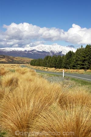 bend;bends;centre-line;centre-lines;centre_line;centre_lines;centreline;centrelines;corner;corners;driving;highway;highways;Mossburn;New-Zealand;open-road;open-roads;red-tussock-reserve;Road;road-trip;roads;South-Island;Southland;straight;transport;transportation;travel;traveling;travelling;trip