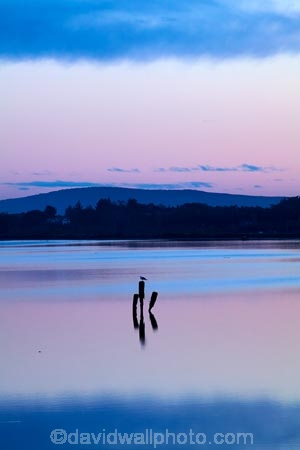 calm;cloud;clouds;dusk;estuaries;estuary;evening;inlet;inlets;Invercargill;lagoon;lagoons;mauve;N.Z.;New-River-Estuary;New-Zealand;night;night_time;nightfall;NZ;Oreti-River;pink;placid;quiet;reflected;reflection;reflections;S.I.;serene;SI;smooth;South-Is;South-Island;Southland;Sth-Is;still;sunset;sunsets;tidal;tidal-estuaries;tidal-estuary;tide;tranquil;twilight;Waihopai-River;water