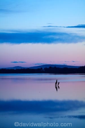 calm;cloud;clouds;dusk;estuaries;estuary;evening;inlet;inlets;Invercargill;lagoon;lagoons;mauve;N.Z.;New-River-Estuary;New-Zealand;night;night_time;nightfall;NZ;Oreti-River;pink;placid;quiet;reflected;reflection;reflections;S.I.;serene;SI;smooth;South-Is;South-Island;Southland;Sth-Is;still;sunset;sunsets;tidal;tidal-estuaries;tidal-estuary;tide;tranquil;twilight;Waihopai-River;water