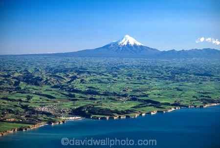 spring;grass;green;paddock;paddocks;field;fields;pasture;pastures;meadow;meadows;agriculture;rural;farm;farms;farmer;farming;farmland;lush;verdant;dairy;snow;mountains;mountain;volcano;volcanoes;sea;ocean;tasman;coast;coastline;shoreline;shore