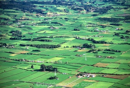 spring;grass;green;fence;fences;hedgerow;hedgerows;sheep;lamb;lambs;farm;farms;farming;farmland;paddock;paddocks;field;fields;pasture;pastures;meadow;meadows;agriculture;rural;dairy;cow;cows;plain;plains;verdant;lush;taranaki;new-zealand;aerials;aerial