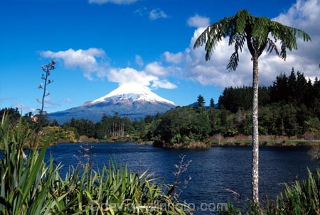 Lake-Mangamahoe;mountain;mountains;volcano;volcanoes;snow;winter;Mount-Taranaki;Mount-Egmont;taranaki;egmont;mt-taranaki;mt-egmont;mt.-taranaki;mt.-egmont;new-zealand;lakes;fern;ferns;tree;fern;tree-ferns