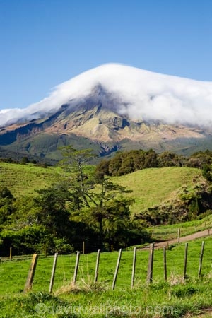 agricultural;agriculture;cloud;clouds;cloudy;country;countryside;crop;crops;Egmont-N.P.;Egmont-National-Park;Egmont-NP;farm;farming;farmland;farms;fence;fence-line;fence-lines;fenceline;fencelines;fences;field;fields;horticulture;meadow;meadows;mist;mists;misty;Mount-Egmont;Mount-Taranaki;Mountain;mountainous;mountains;mt;Mt-Egmont;Mt-Taranaki;Mt-Taranaki-Egmont;mt.;Mt.-Egmont;Mt.-Taranaki;N.I.;N.Z.;New-Zealand;NI;North-Island;NZ;paddock;paddocks;pasture;pastures;rural;shroud;shrouded;Taranaki;volcanic;volcano;volcanoes