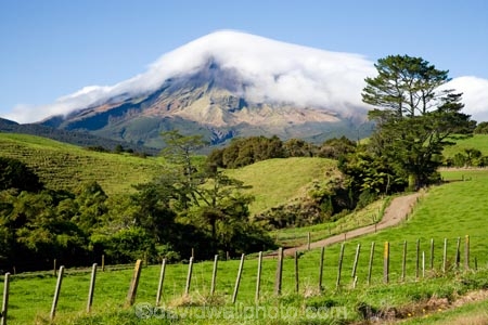 agricultural;agriculture;cloud;clouds;cloudy;country;countryside;crop;crops;Egmont-N.P.;Egmont-National-Park;Egmont-NP;farm;farming;farmland;farms;fence;fence-line;fence-lines;fenceline;fencelines;fences;field;fields;horticulture;meadow;meadows;mist;mists;misty;Mount-Egmont;Mount-Taranaki;Mountain;mountainous;mountains;mt;Mt-Egmont;Mt-Taranaki;Mt-Taranaki-Egmont;mt.;Mt.-Egmont;Mt.-Taranaki;N.I.;N.Z.;New-Zealand;NI;North-Island;NZ;paddock;paddocks;pasture;pastures;rural;shroud;shrouded;Taranaki;volcanic;volcano;volcanoes